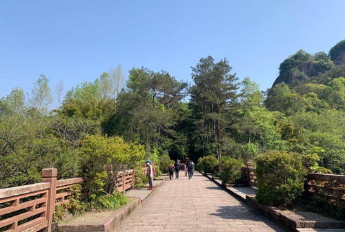 武夷山恢復開放，全國醫護人員免費游覽，多項優惠政策助力旅游業復蘇