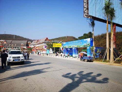 勐?？h市場(chǎng)監(jiān)督管理局強(qiáng)化2019年首屆打洛口岸工藝品展銷會(huì)及旅行社服務(wù)監(jiān)管